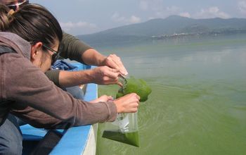 Karl Hambright's work will help identify patterns in cyanobacterial algal blooms.